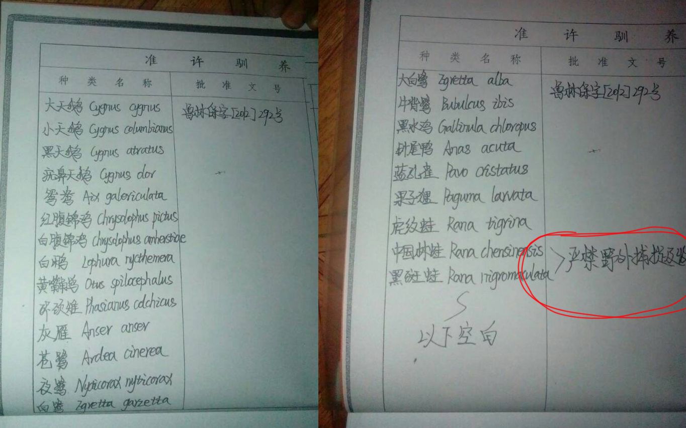 山东省野生动物驯养繁殖许可证上，手写的准许驯养繁殖种类。受访者供图