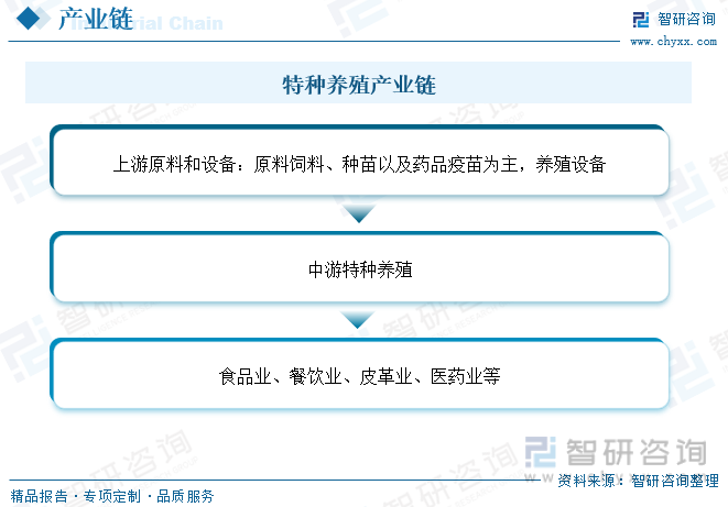 致富路上的特色养殖业_特种养殖快速致富门路280条_致富经特种养殖