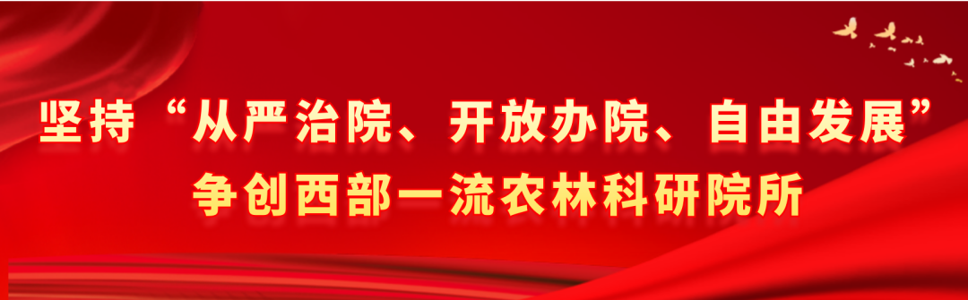 北方葡萄养殖技术视频_北方温室葡萄种植视频_北方葡萄的种植方法和技术视频