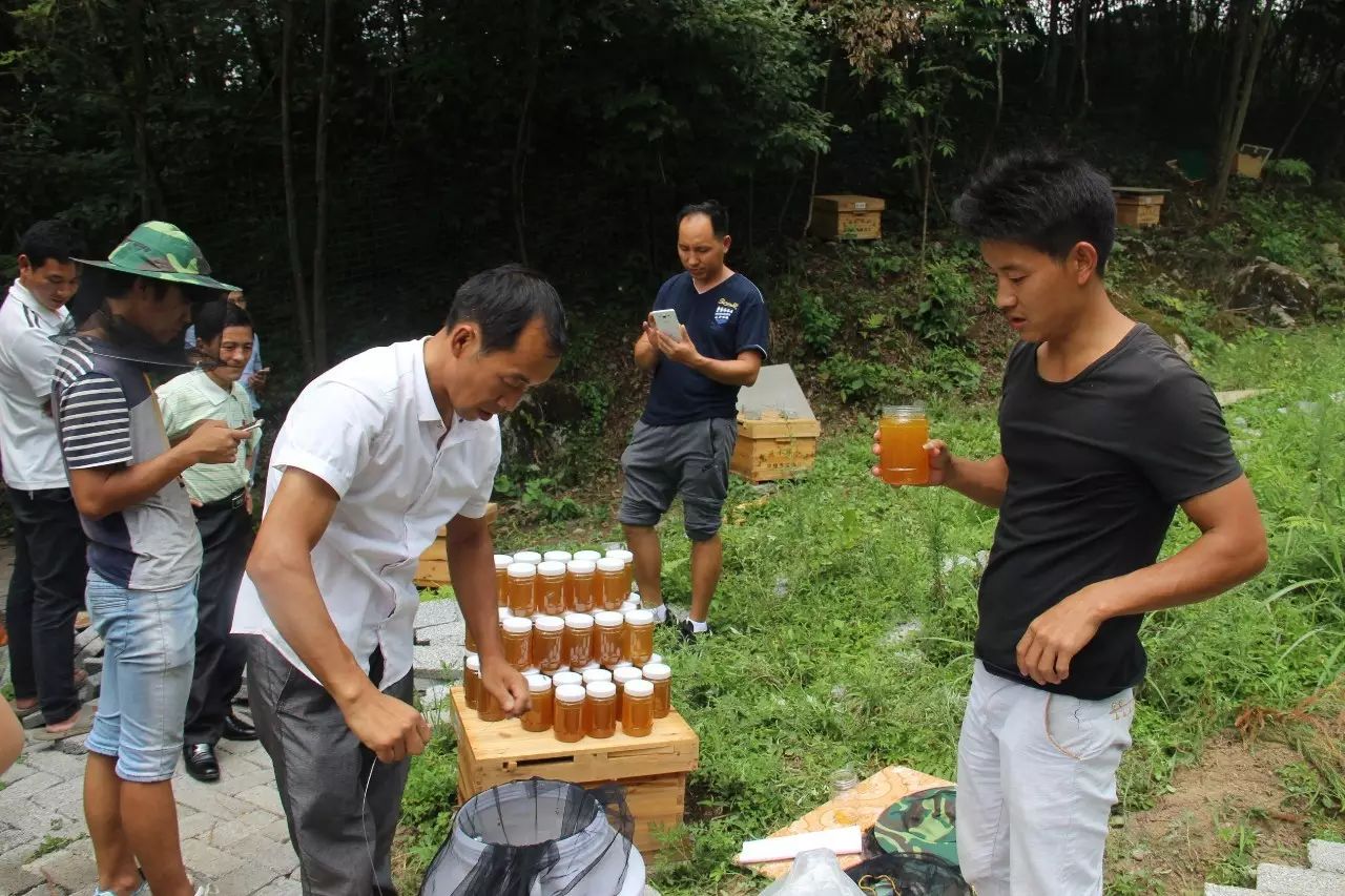 养蜜蜂的桶_传统圆桶蜜蜂养殖技术_圆桶养蜂技术教程