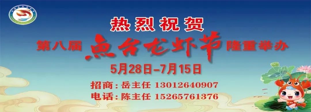 安徽 蚂蚱养殖技术_蚂蚱养殖户_养殖安徽蚂蚱技术视频