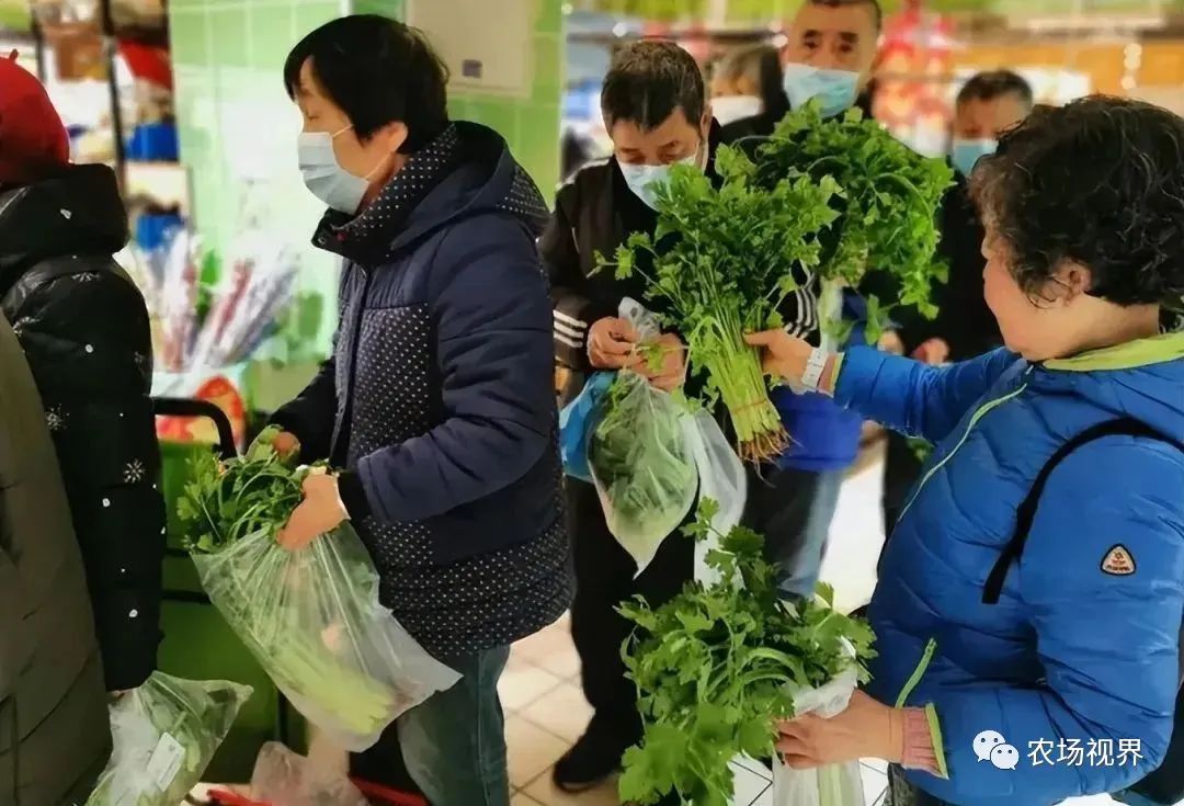 养殖鮸鱼_致富经鲥鱼养殖_养殖鮰鱼