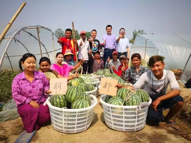 农业种植致富空间_农村致富新项目种植业_农业致富种植项目