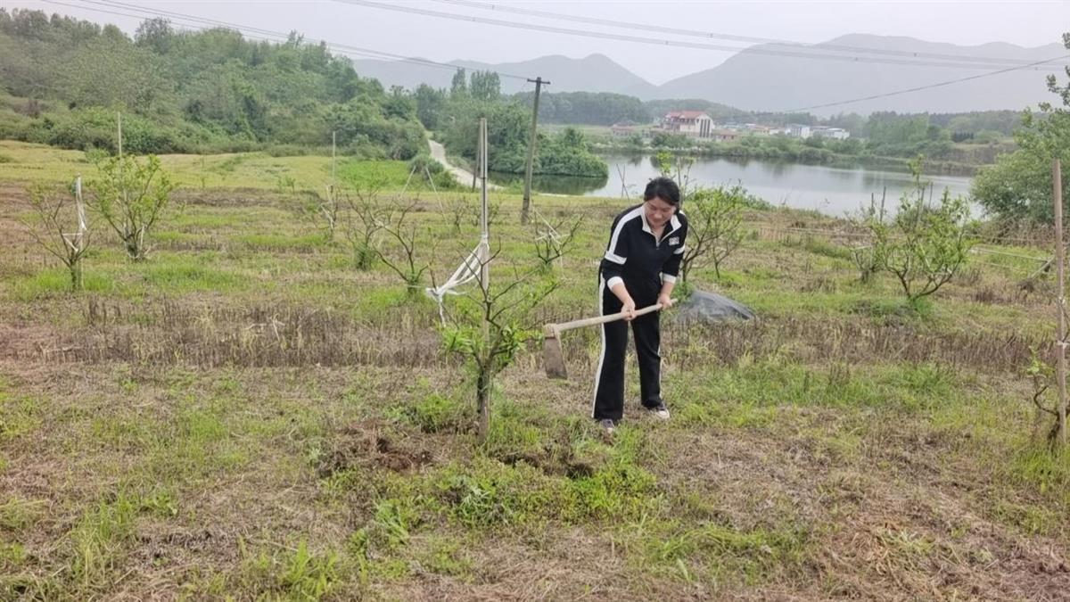 羚羊学养殖技术和种植技术_羚羊养殖_羚羊养殖场