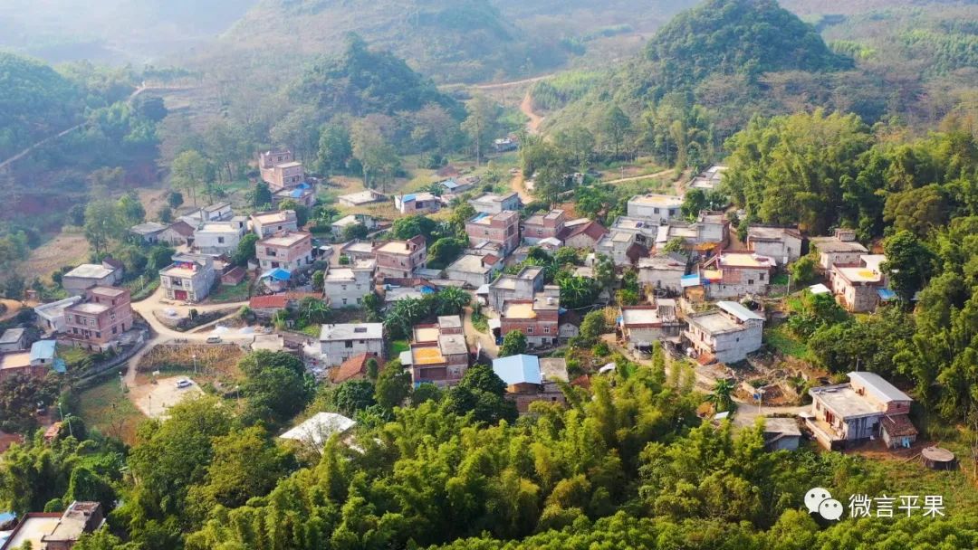 马头镇塘莲村：黑山羊成为壮大村集体经济“领头羊”