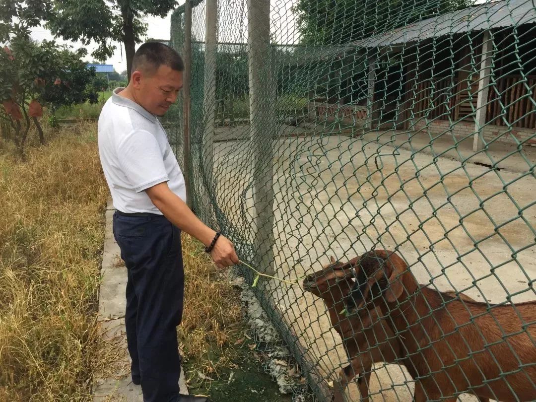 致富经蚯蚓养殖视频_致富经蚯蚓土_致富经蚯蚓养殖视频播放