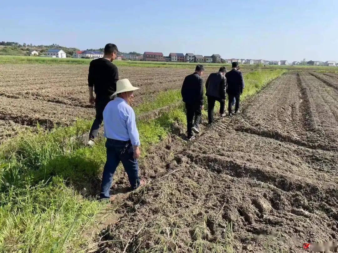 【春耕备耕】“订单农业”铺就农民致富路