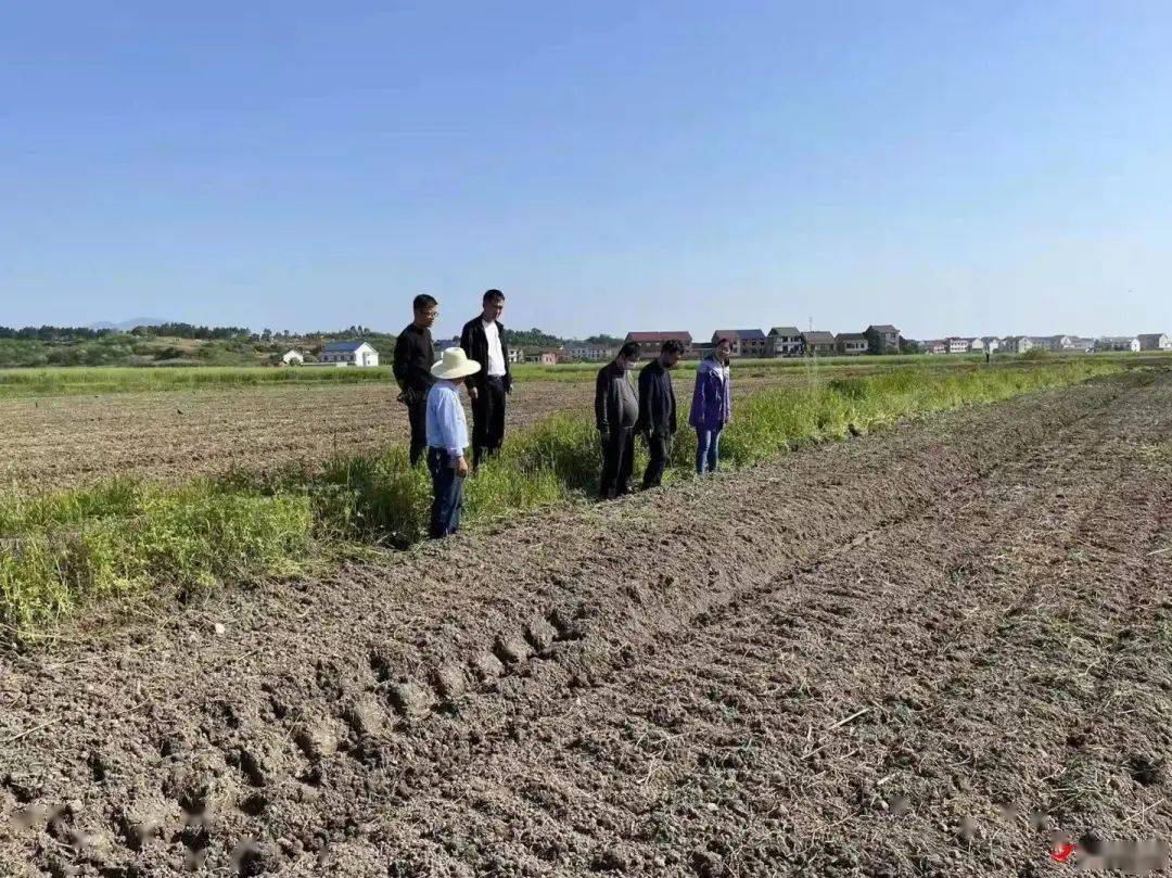 致富合法种植农业的意义_致富合法种植农业的措施_农业种植致富合法吗