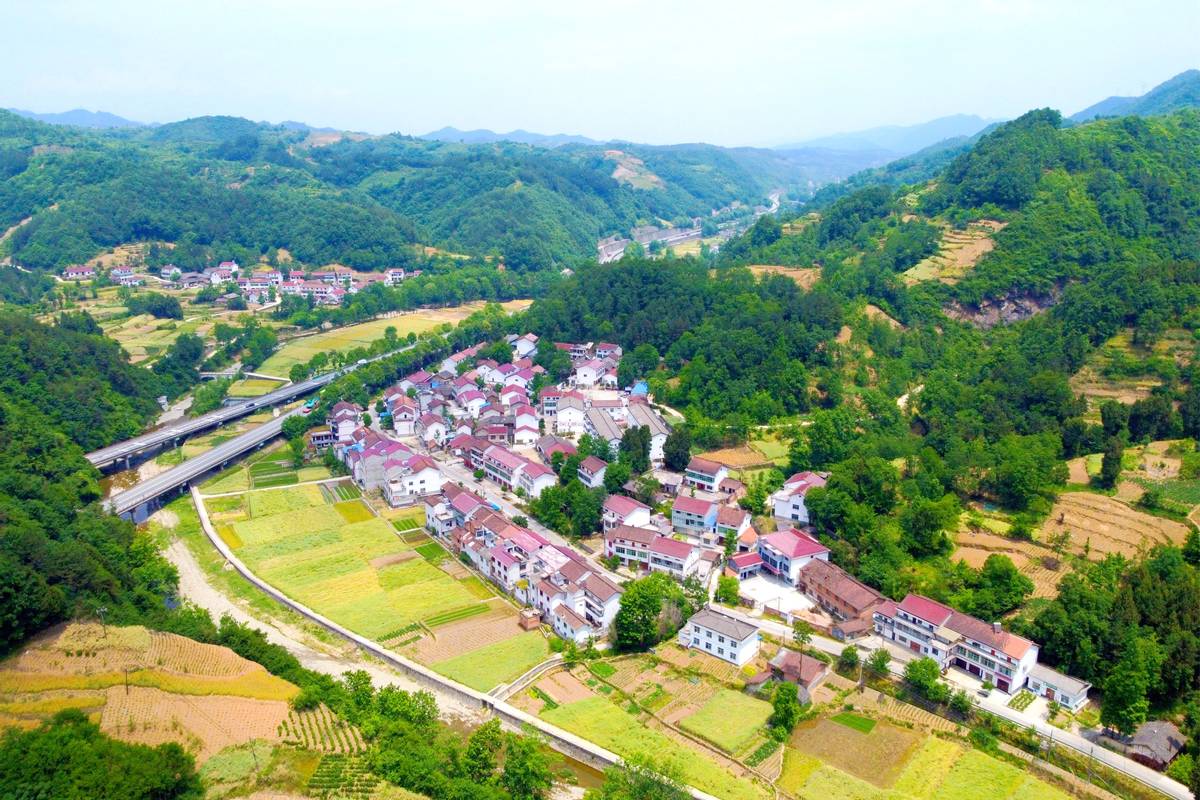 陕南木耳种植基地_木耳种植基地视频_渭南木耳种植致富