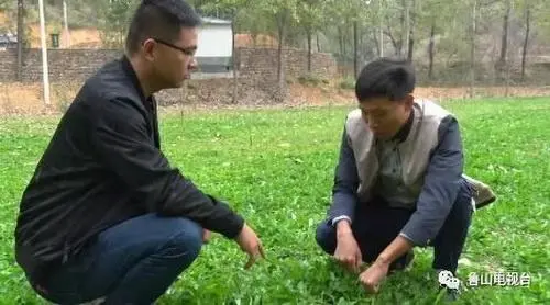 农业种植致富合法吗_致富合法种植农业的措施_农业致富种植项目