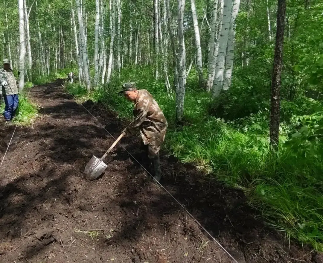 寒葱种植技术视频_寒葱的种植_种植寒葱致富