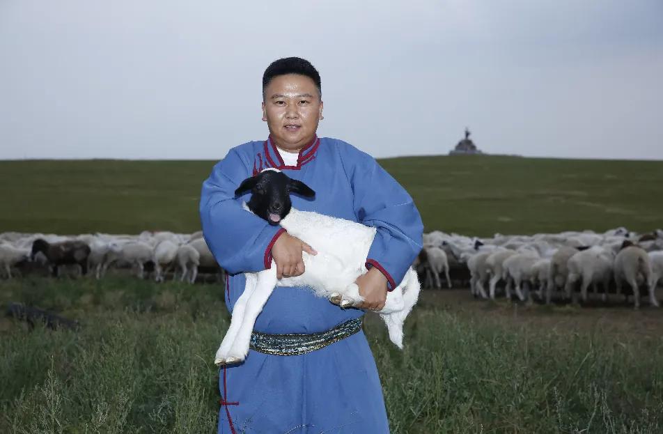 致富经肉羊养殖_致富经餐饮羊肉_致富经羊肉汤里的致富经