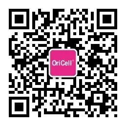 壁虎养殖技术难题_壁虎养殖技术视频_难题养殖壁虎技术视频