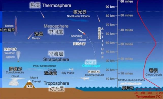 种植贝母需要什么条件_贝母种植技术视频_贝母种植技术视频播放