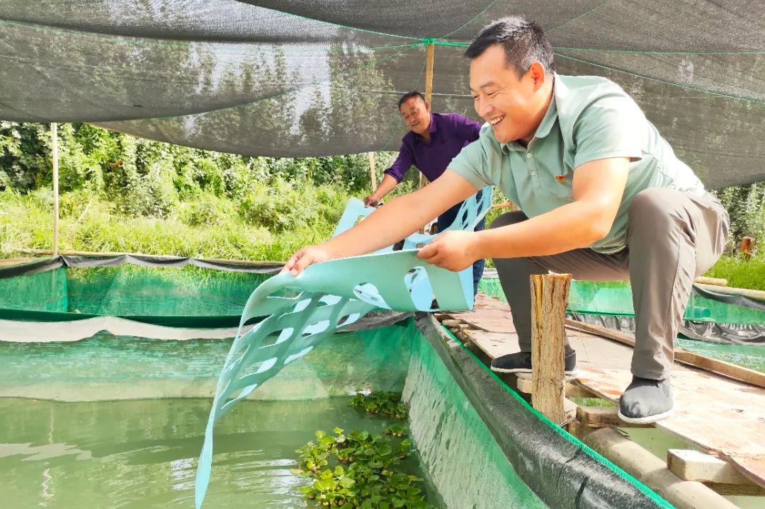 海南大蒜种植基地_海南能种大蒜吗_海南大蒜种植致富