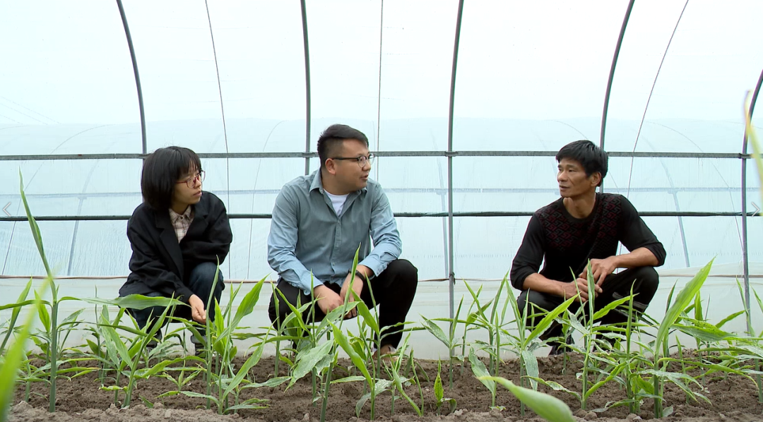 嵊州种植致富_科学种植致富100例_嵊州适合种什么水果