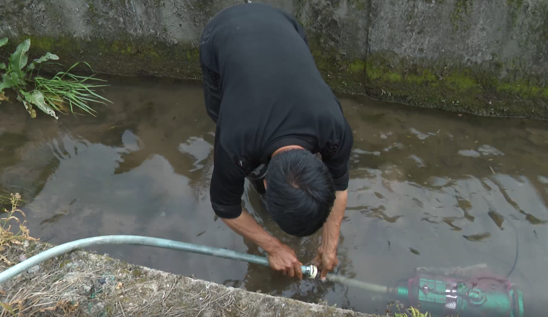 嵊州种植致富_嵊州适合种什么水果_科学种植致富100例