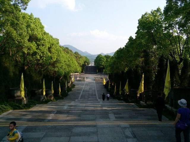 致富桃种植黄金值钱吗_黄金桃种植致富_致富经桃树种植视频