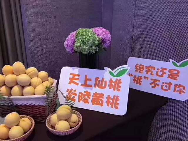 黄金桃种植致富_致富桃种植黄金值钱吗_致富经桃树种植视频