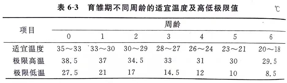 【规模化生态蛋鸡养殖技术】第六章 蛋鸡生态养殖饲养管理技术（Part 5）