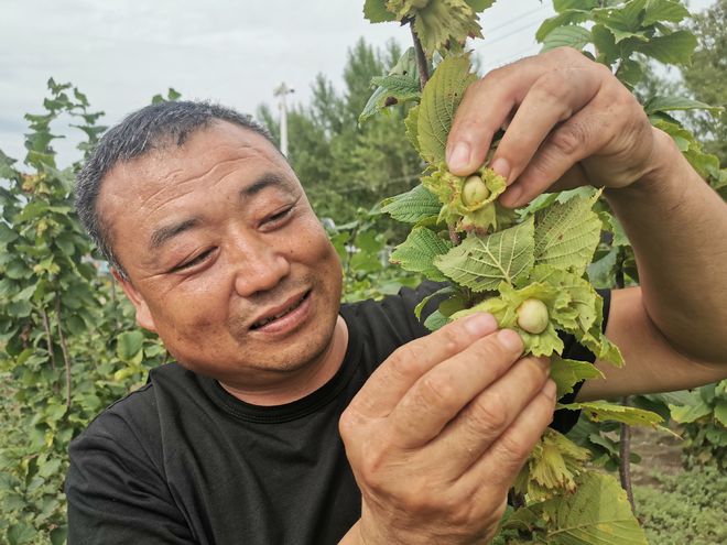 致富经杨注根_致富经杨富民_致富经杨新权