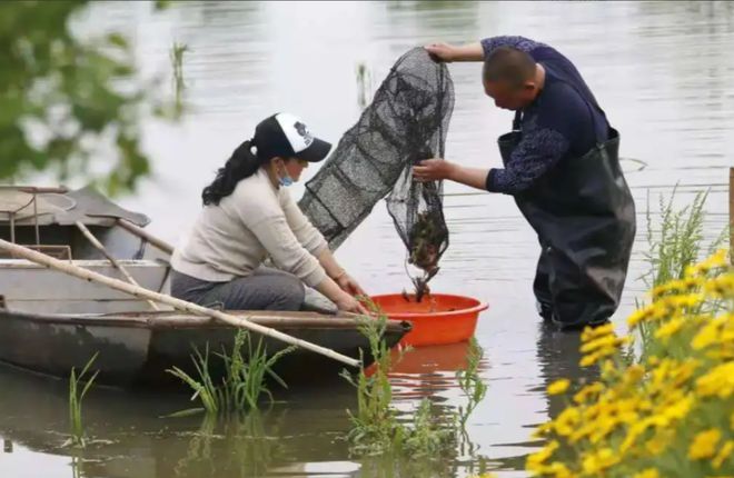 致富养殖鲶鱼发家视频_养殖鲶鱼利润多大_鲶鱼养殖发家致富