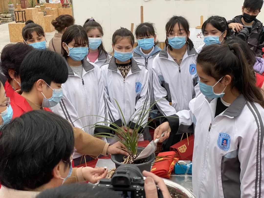 致富种植惠兰图片大全_种植惠兰致富_种植惠兰视频