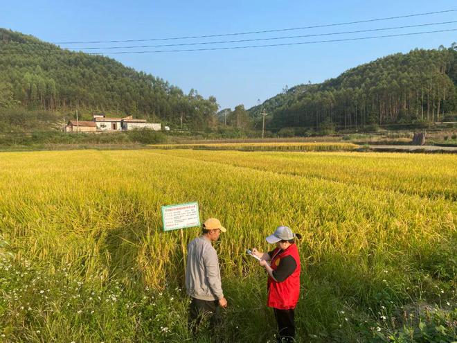 致富坚果种植项目有哪些_坚果种植致富项目_致富坚果种植项目怎么样