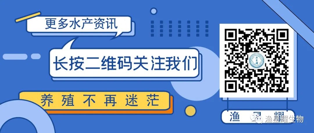 高密度青鱼的养殖技术和密度_养殖高密度青鱼技术要求_青鱼高密度养殖技术