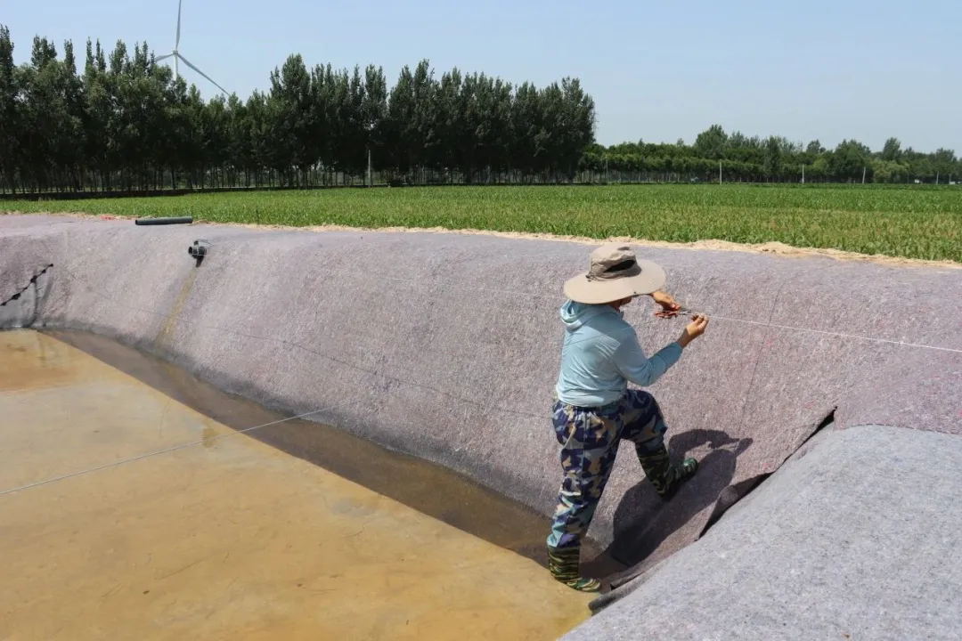 养殖水母技术要求_水母养殖技术_养殖水母技术视频教程