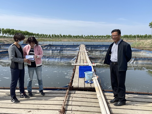 宝石鲈鱼养殖难点_宝石鲈市场价格_宝石鲈养殖技术人员