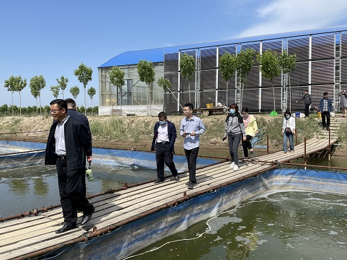 宝石鲈市场价格_宝石鲈鱼养殖难点_宝石鲈养殖技术人员