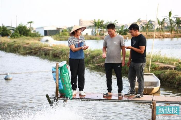 现在养殖鲈鱼的投资与利润_养殖鲈鱼的前景如何_乡贤养殖鲈鱼致富