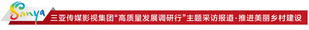 农业致富之路_致富经农业种植_农业种植致富新路子是什么