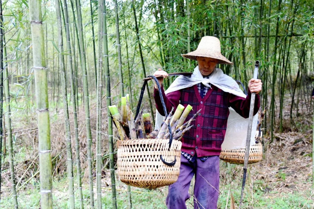 山羊养殖场视频_白山羊养殖技术视频_山羊养殖技术视频播放