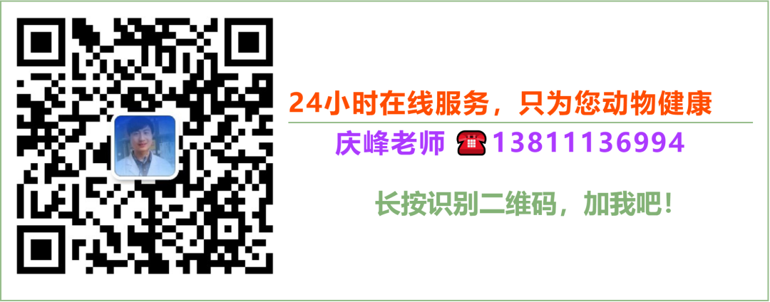 本地山羊养殖技术视频_山羊养殖技术视频播放_白山羊养殖技术视频