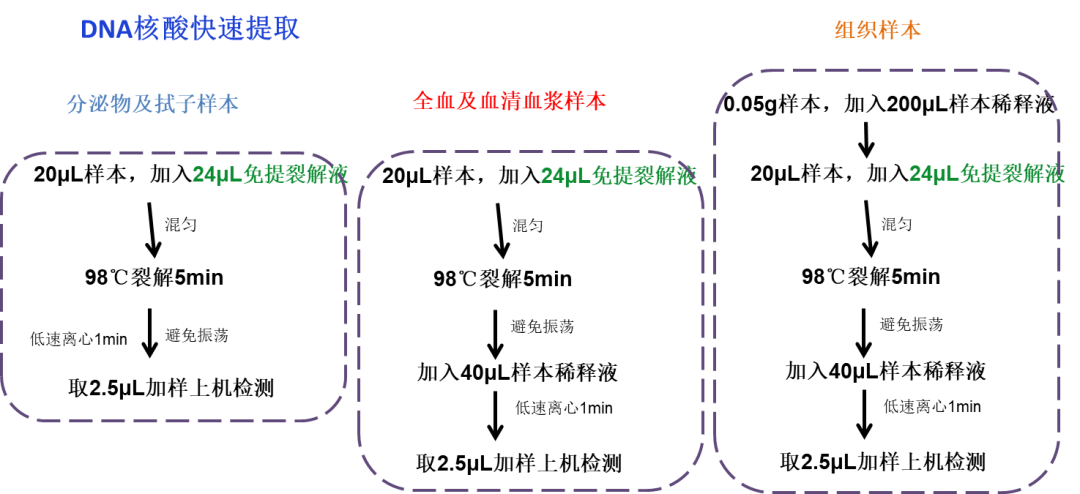 视频养殖猪技术教程_猪视频养殖技术_养殖猪的视频