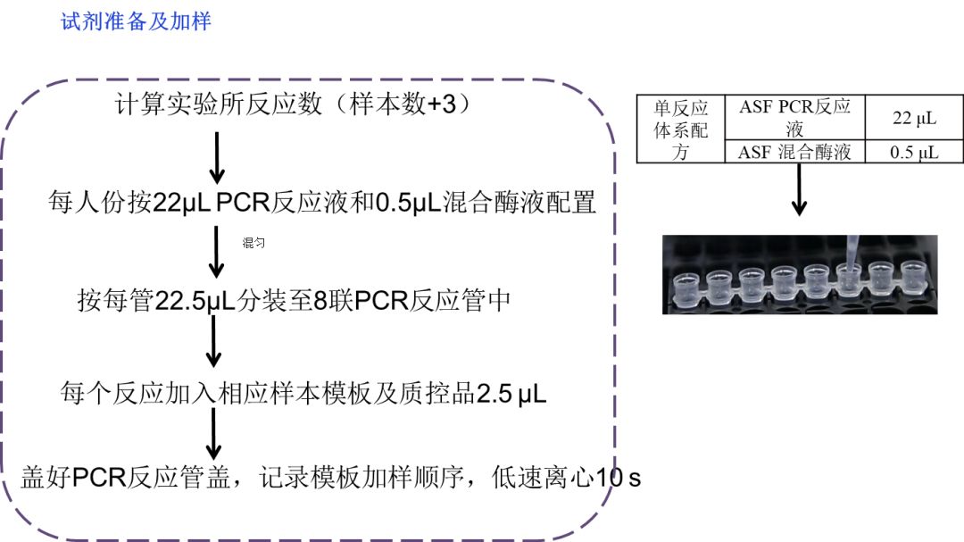 养殖猪的视频_视频养殖猪技术教程_猪视频养殖技术