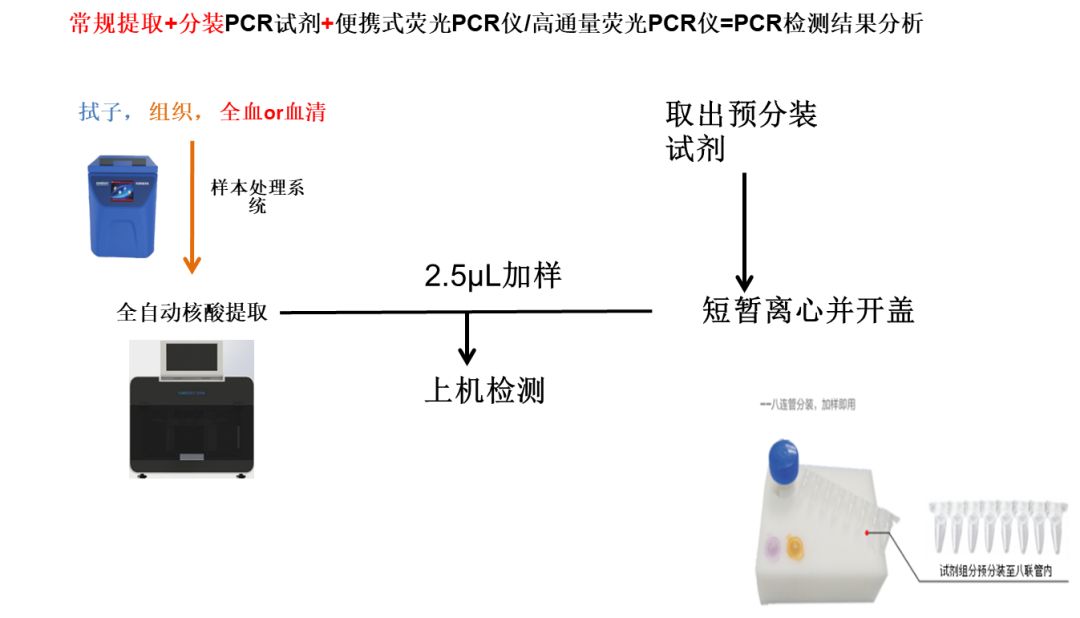 猪视频养殖技术_视频养殖猪技术教程_养殖猪的视频