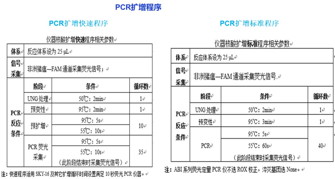 视频养殖猪技术教程_猪视频养殖技术_养殖猪的视频