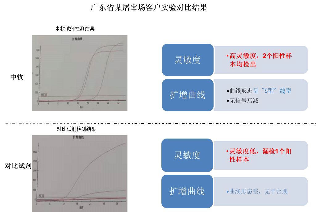 视频养殖猪技术教程_猪视频养殖技术_养殖猪的视频