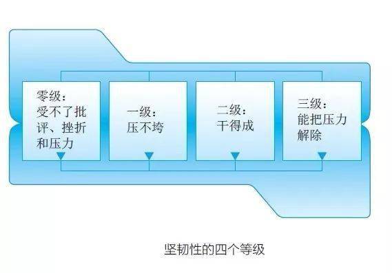 视频的经验_经验分享视频创作_15天优质经验分享视频