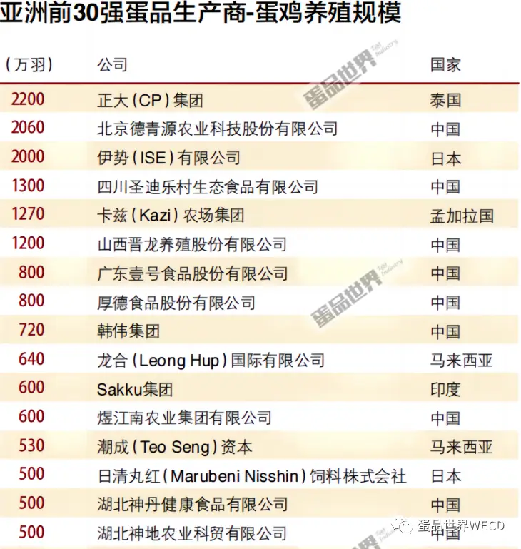 鸡场养殖致富项目_致富养殖鸡场项目介绍_致富新项目养鸡