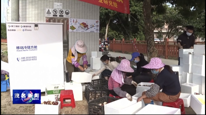 致富经香菇赚千万_致富香菇种植图片欣赏_香菇种植致富图片