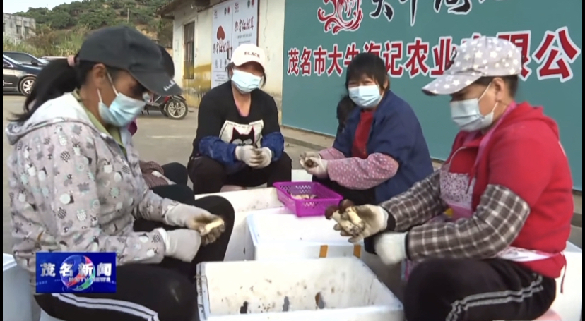 致富香菇种植图片欣赏_香菇种植致富图片_致富经香菇赚千万