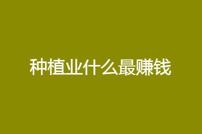 2021农村种植致富好项目这四个最赚钱