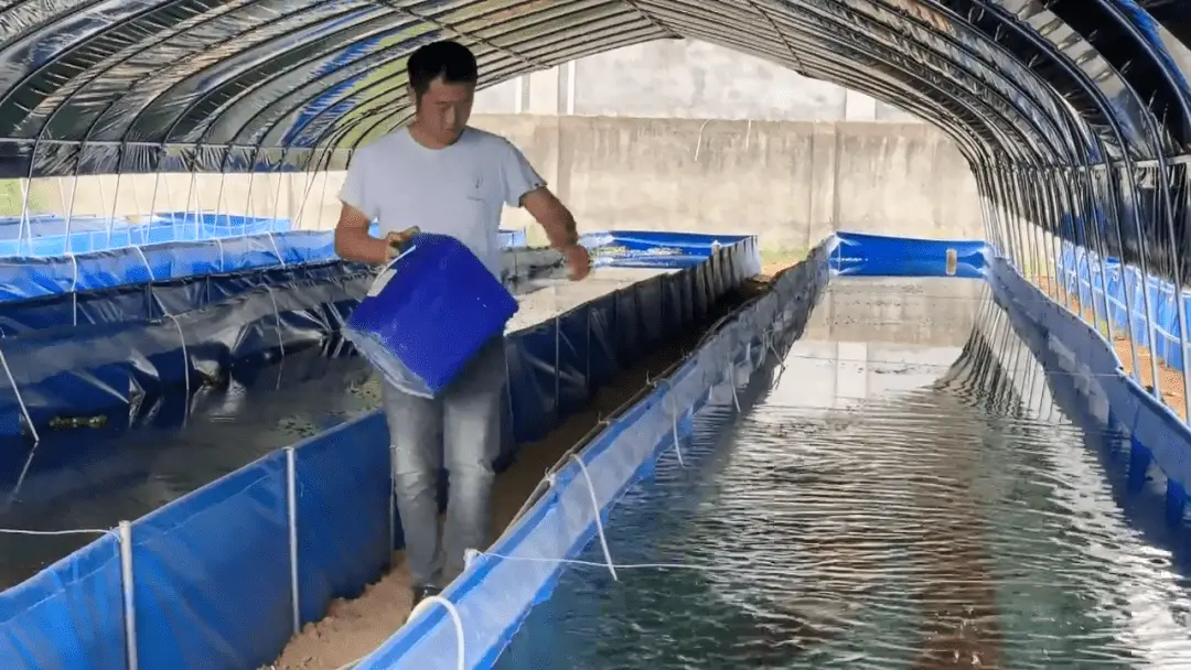 致富养殖水蛭技术怎么样_致富经水蛭养殖技术_水蛭养殖致富经