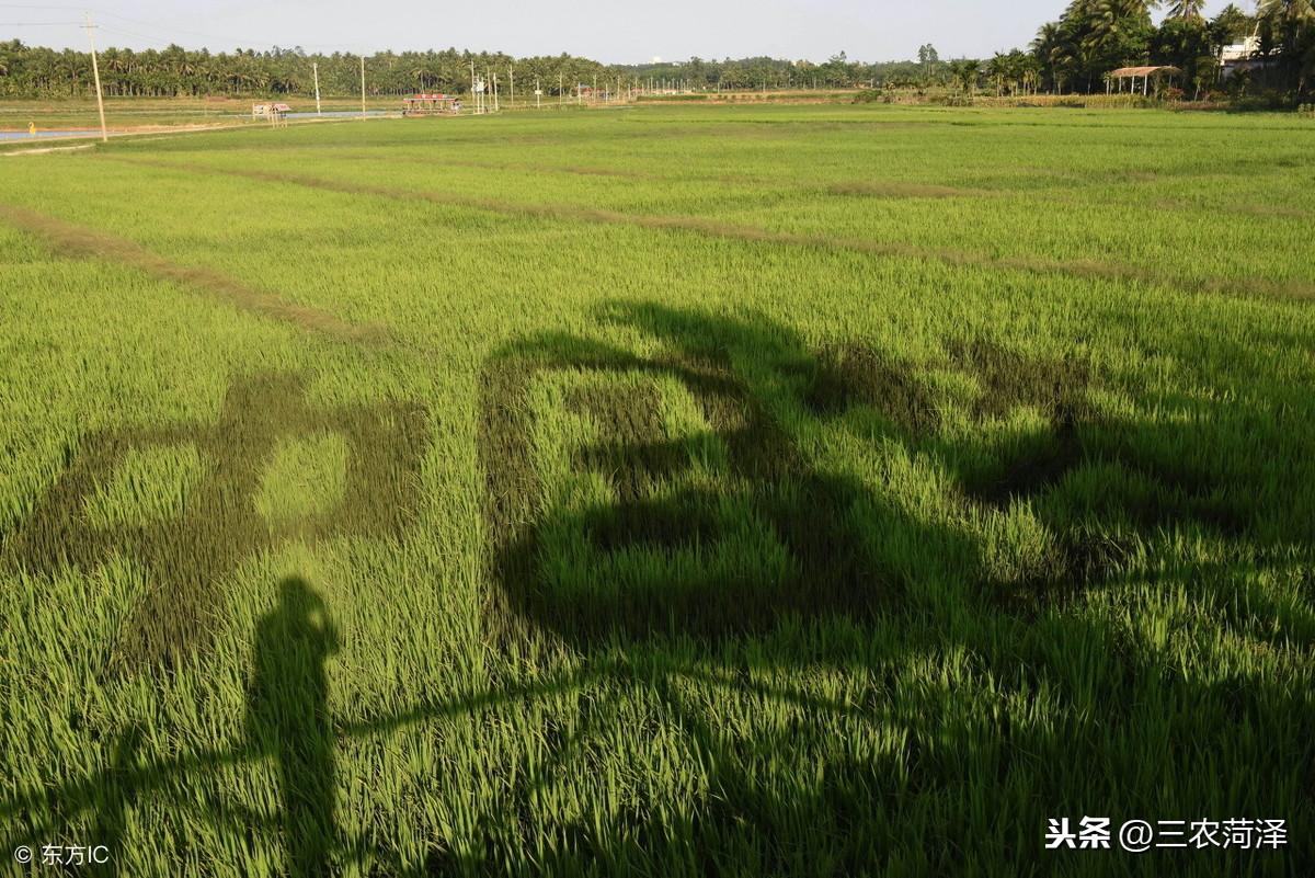 心变成石头一样坚强_致富经将石头变成财富_财富失落的致富经典