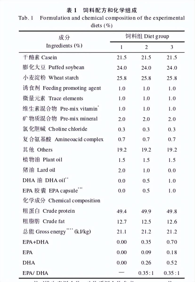 养殖室内黄鳝技术可以做什么_室内黄鳝养殖需要多少钱_室内可以黄鳝养殖技术