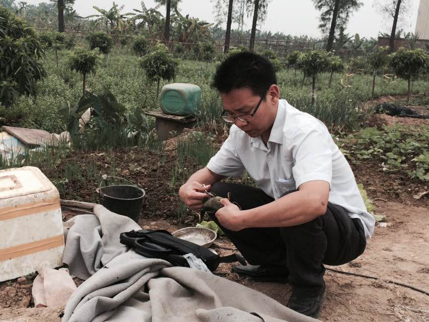 养殖泥鳅的技术_优质泥鳅全套养殖技术_养殖泥鳅视频全过程